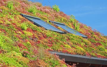 Yawthorpe living roof systems