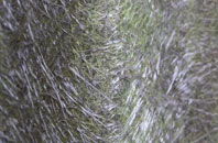 Yawthorpe fibreglass roof work